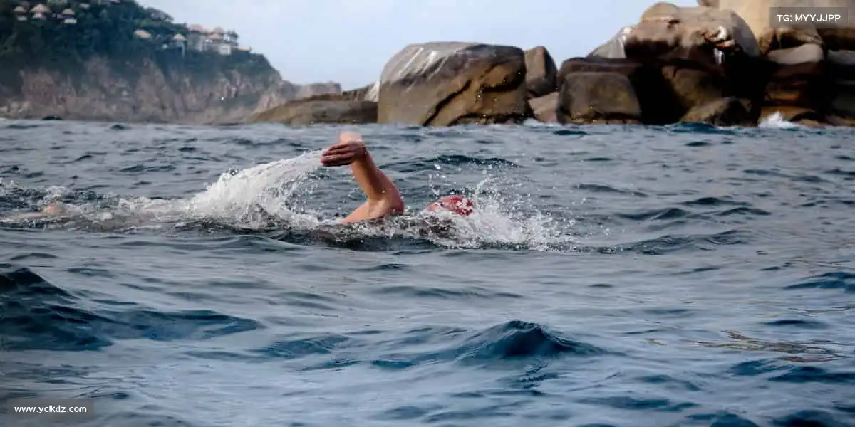 我们的核心竞争力